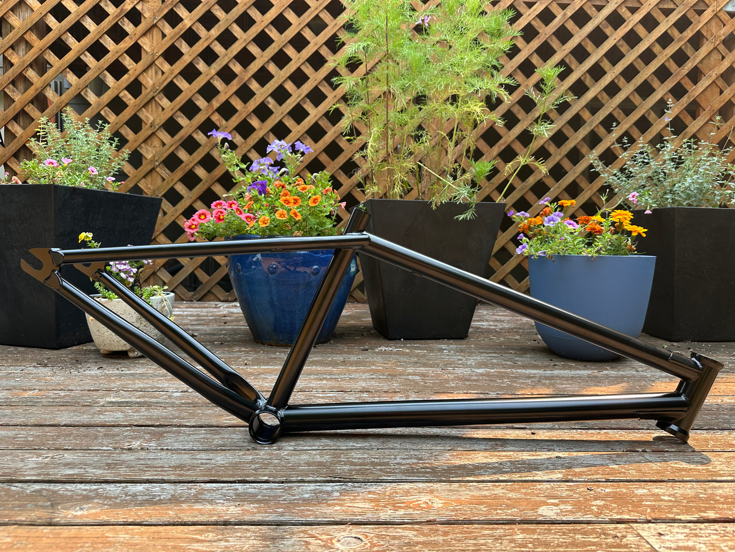 Glimmer Sample Frame - Dark Black with fork - USA / Taiwanese Frames